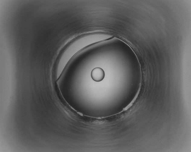 X0000113080350200909041133