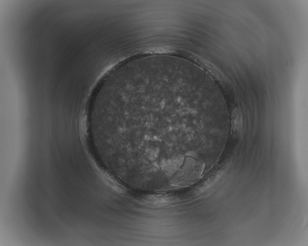 X0000113080351200909041133