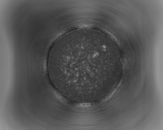 X0000113080353200909041133