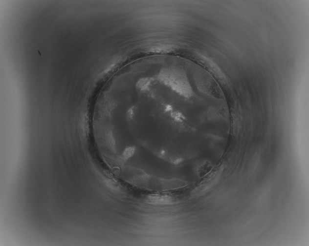 X0000113080354200909041133