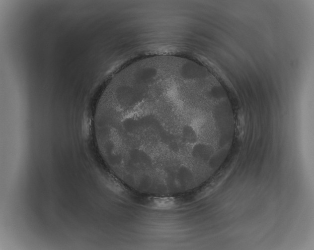 X0000113080355200909041133