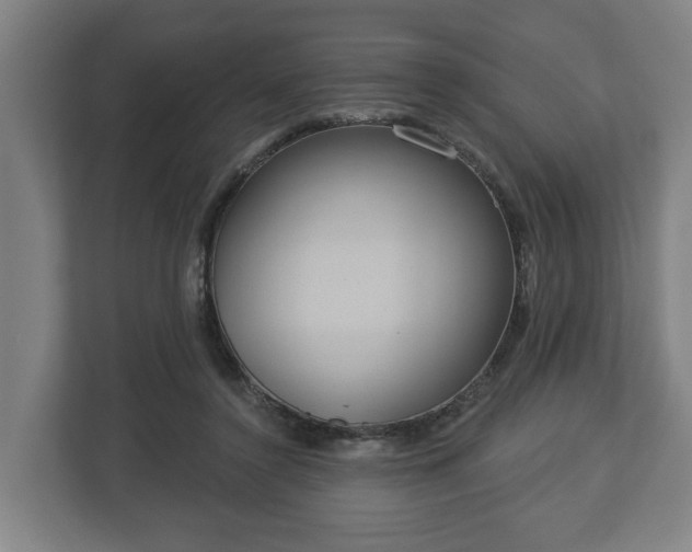 X0000113080356200909041133