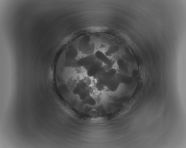 X0000113080357200909041133