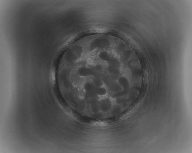 X0000113080358200909041133