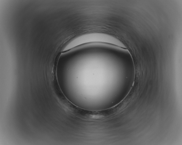 X0000113080360200909041133