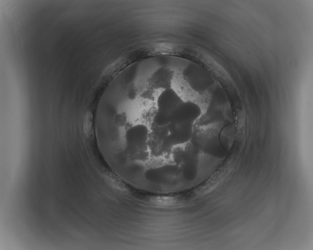 X0000113080361200909041133