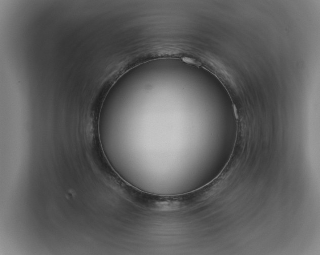 X0000113080362200909041133