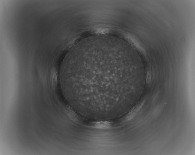 X0000113080363200909041133