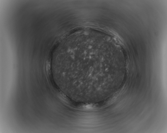 X0000113080365200909041133