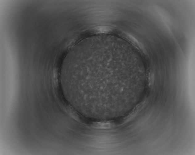 X0000113080366200909041133