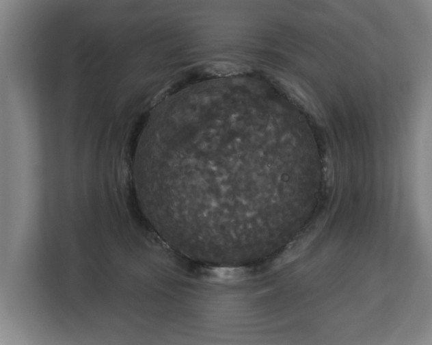 X0000113080371200909041133