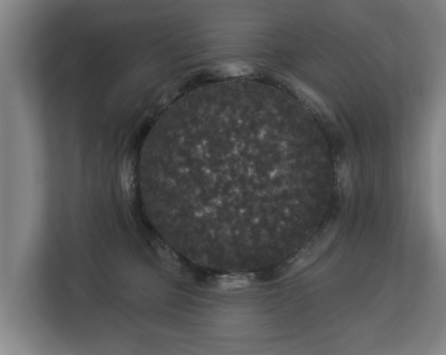 X0000113080373200909041134