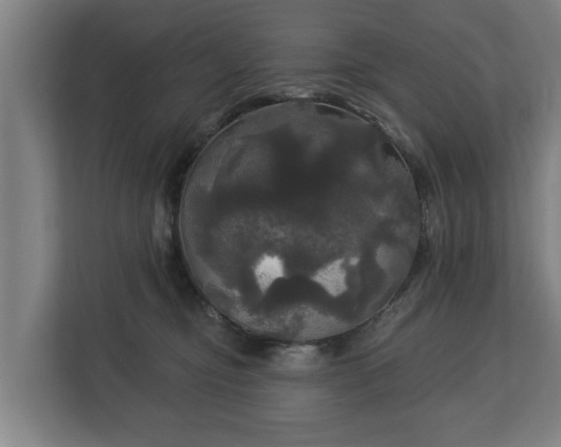 X0000113080374200909041134