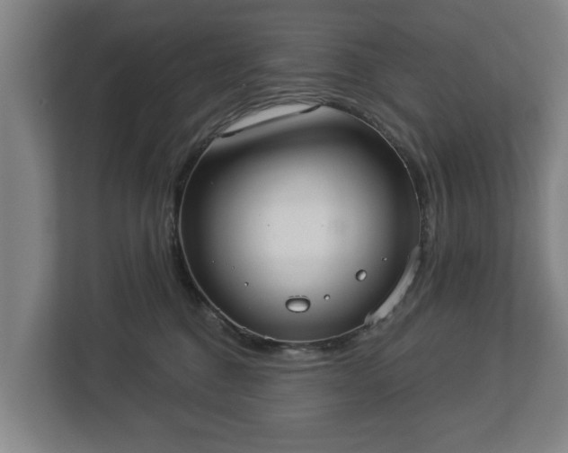 X0000113080376200909041134