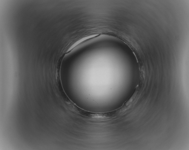 X0000113080380200909041134