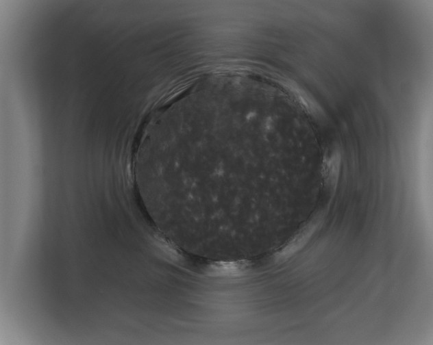 X0000113080381200909041134