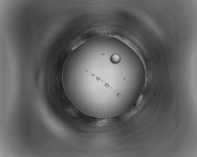 X0000113080382200909041134