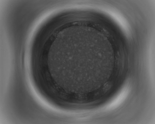 X0000113080383200909041134