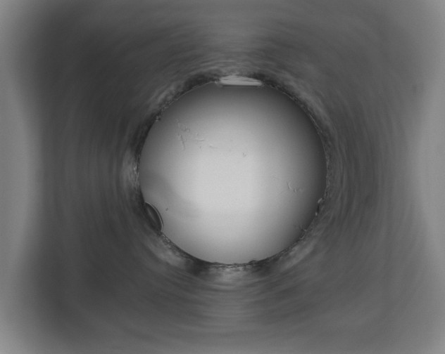 X0000113080384200909041134