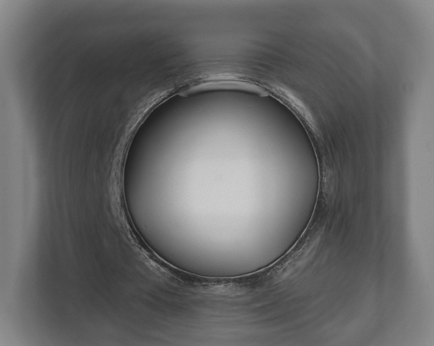 X0000113080385200909041133