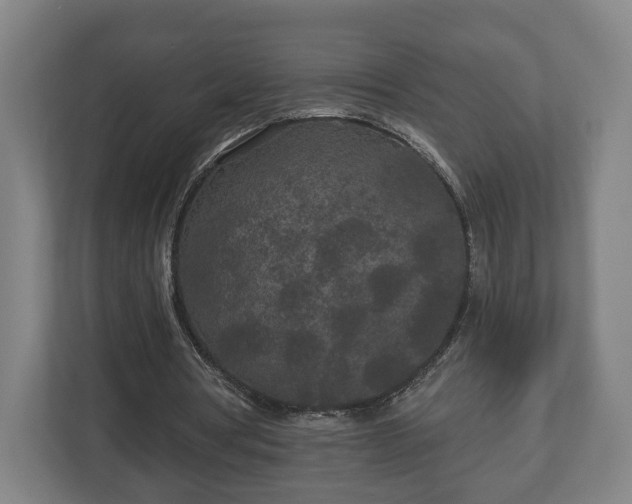 X0000113080386200909041133