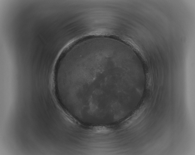 X0000113080392200909041133