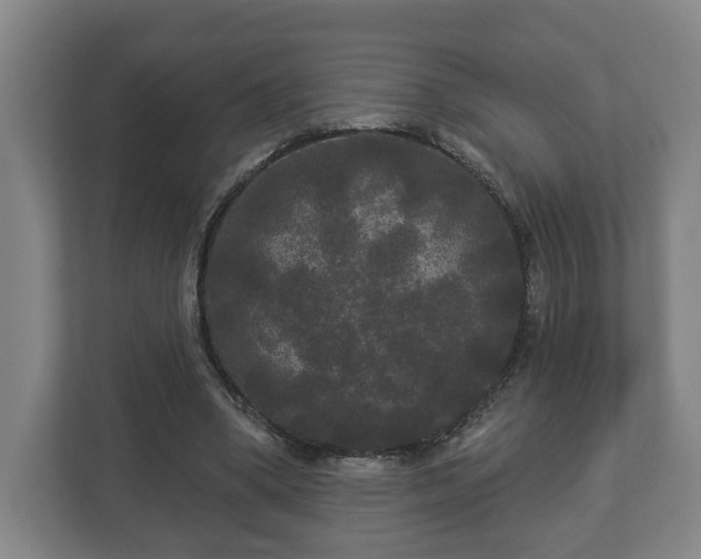 X0000113080394200909041133