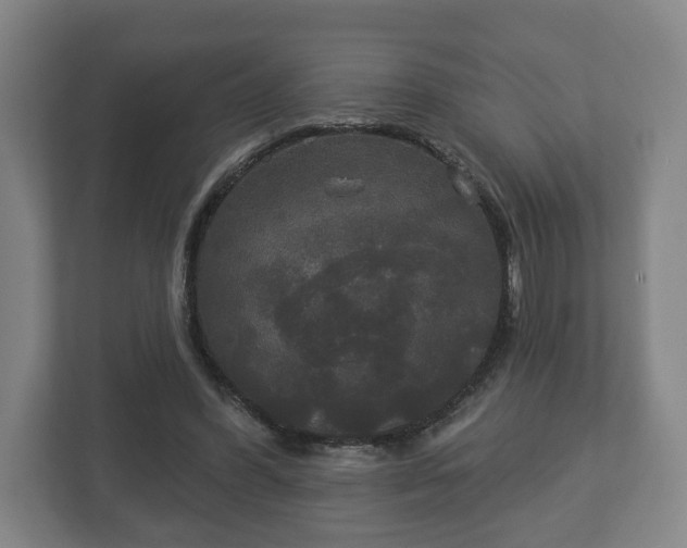 X0000113080396200909041133