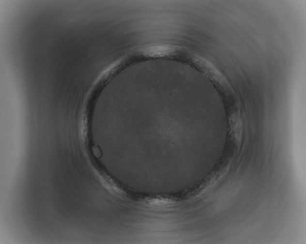 X0000113080400200909041133