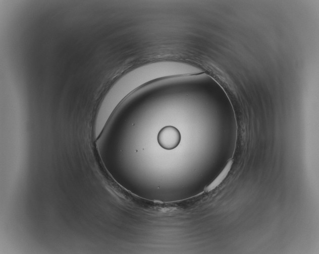 X0000113080401200909041133