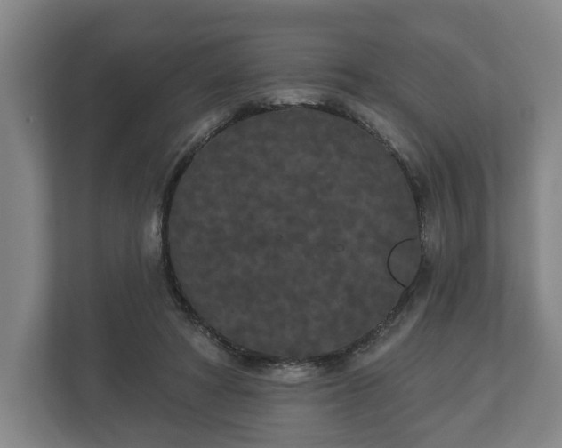 X0000113080402200909041133