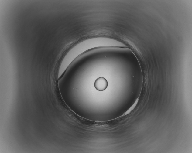 X0000113080403200909041133