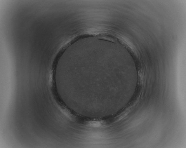 X0000113080404200909041133