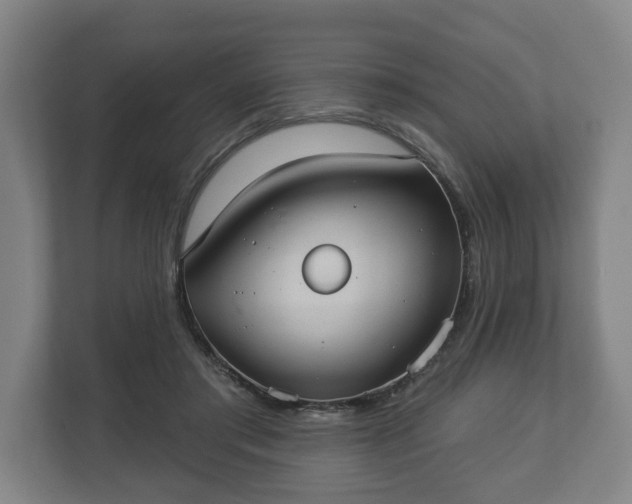 X0000113080405200909041133