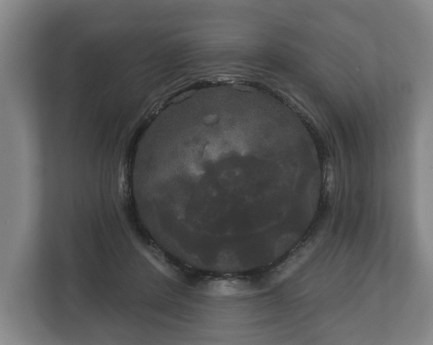 X0000113080408200909041133