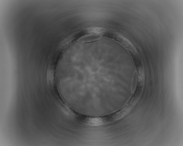 X0000113080409200909041133