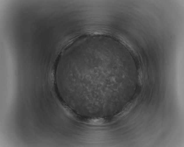 X0000113080410200909041133