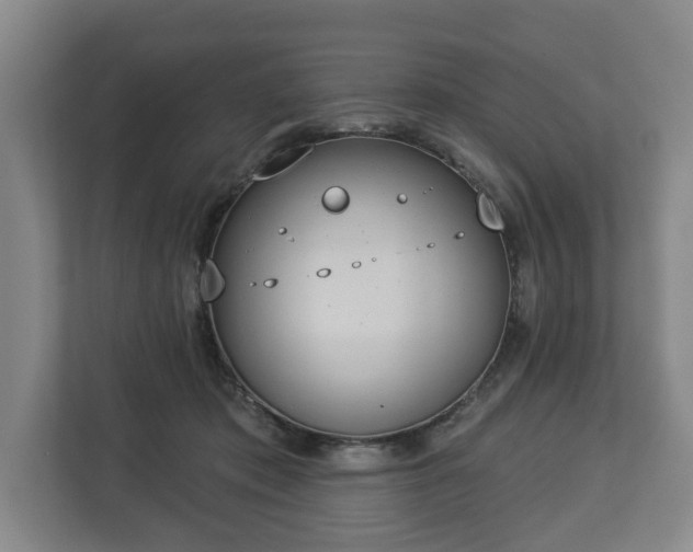 X0000113080413200909041133