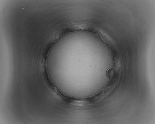 X0000113080414200909041133