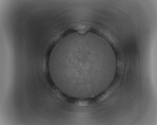 X0000113080416200909041133