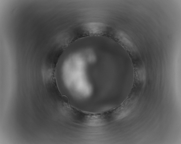 X0000113080419200909041133