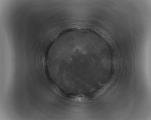 X0000113080420200909041133