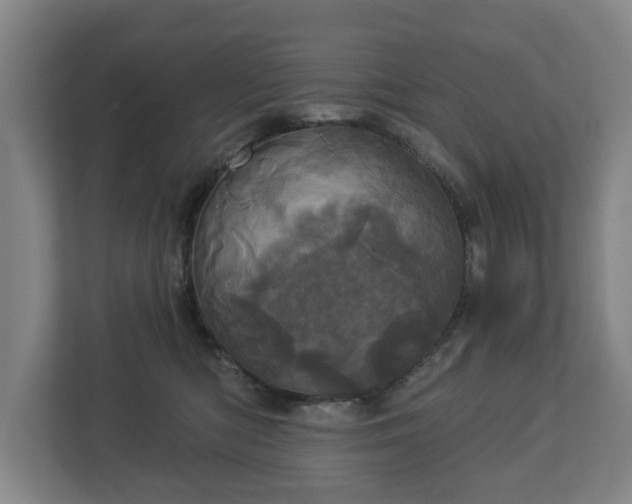 X0000113080422200909041133