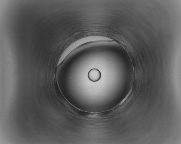 X0000113080425200909041133