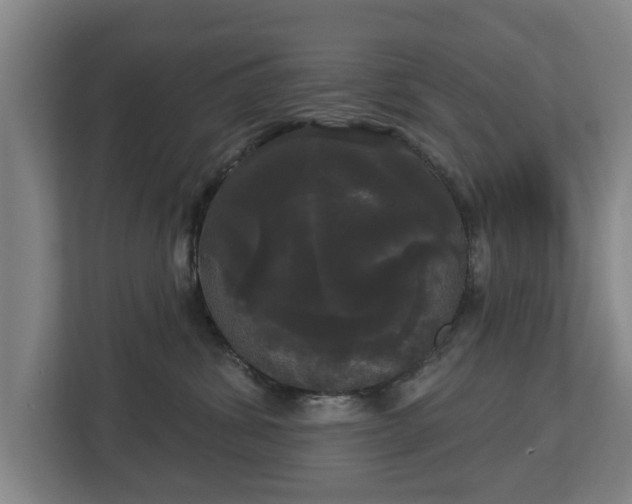 X0000113080428200909041132