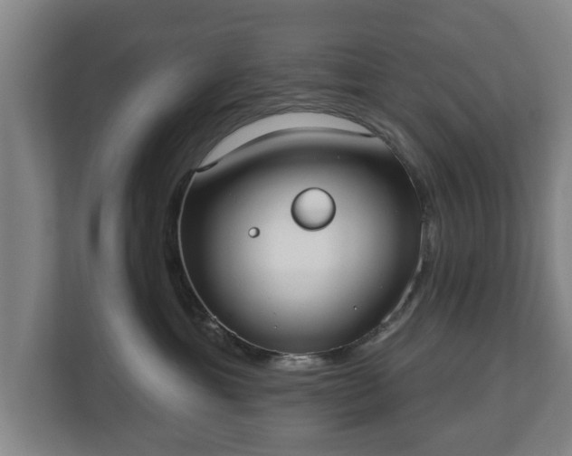 X0000113080429200909041132