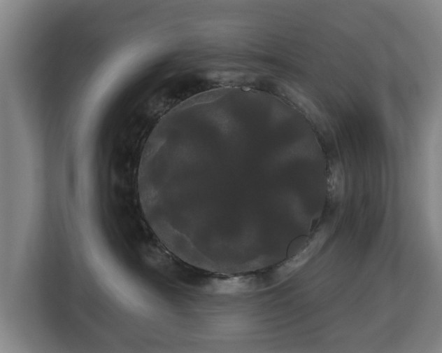 X0000113080430200909041132