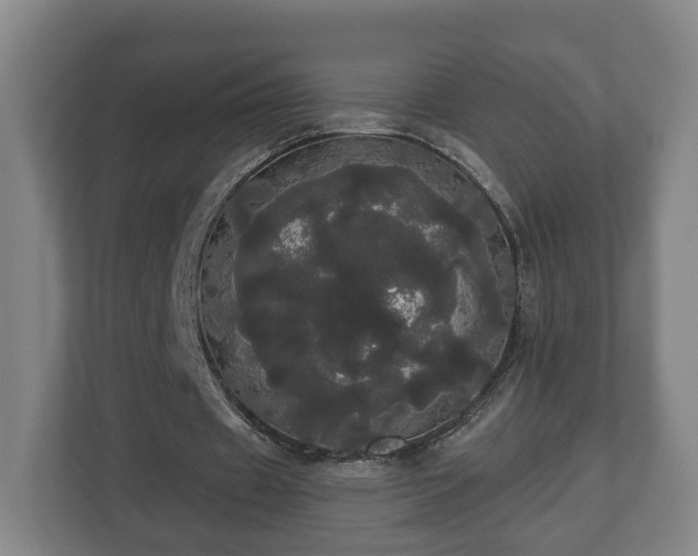 X0000113080433200909041132