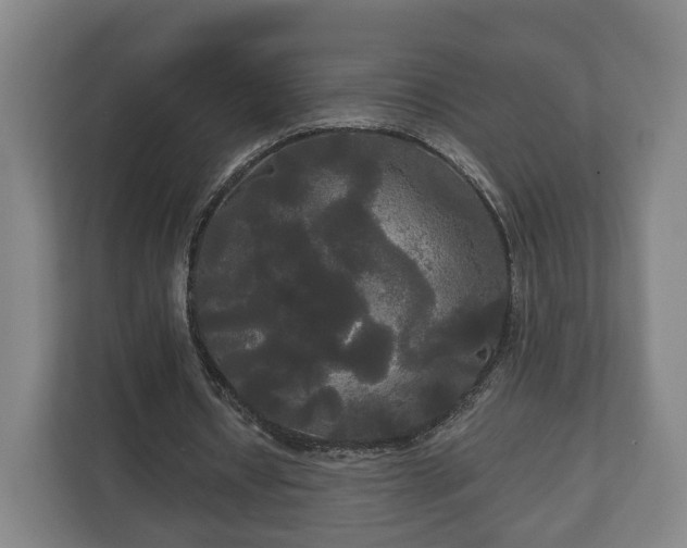 X0000113080434200909041132