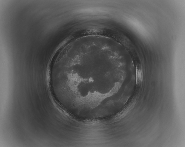 X0000113080435200909041132